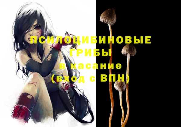 дмт Бугульма