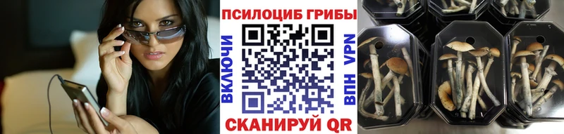 Галлюциногенные грибы ЛСД  Высоцк 